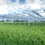 営農型太陽光発電の実例